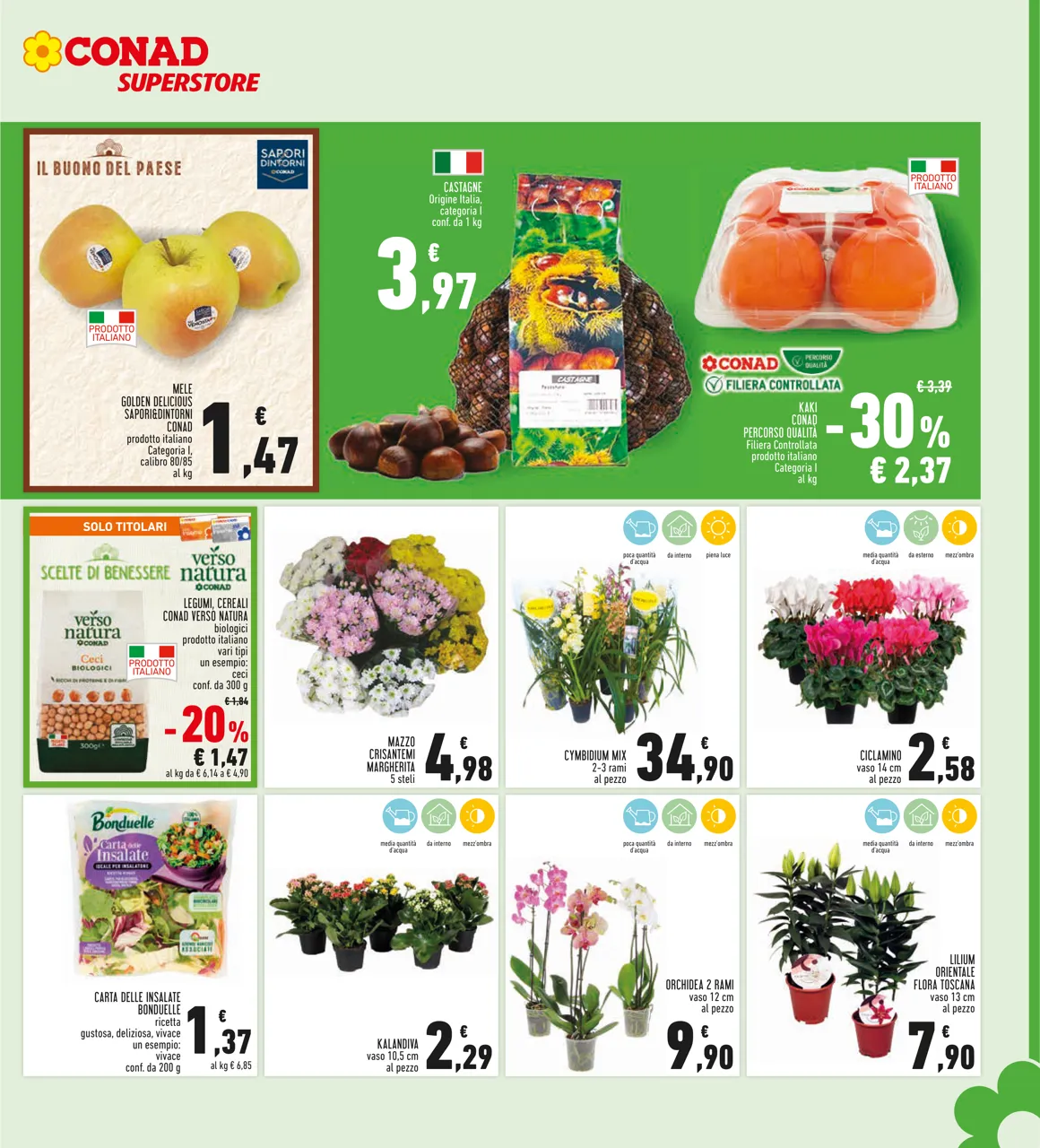 Pagina 7