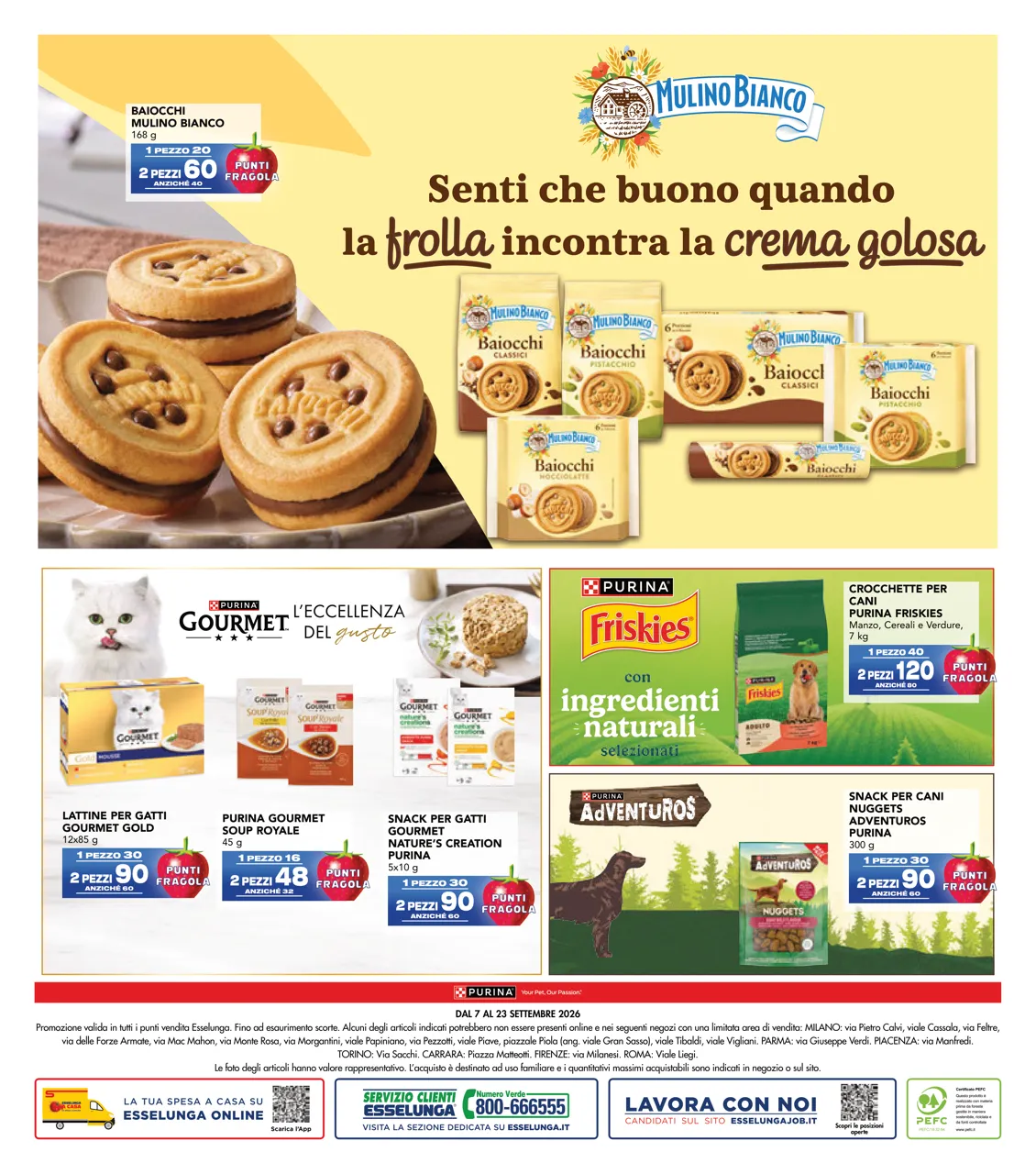 Pagina 12