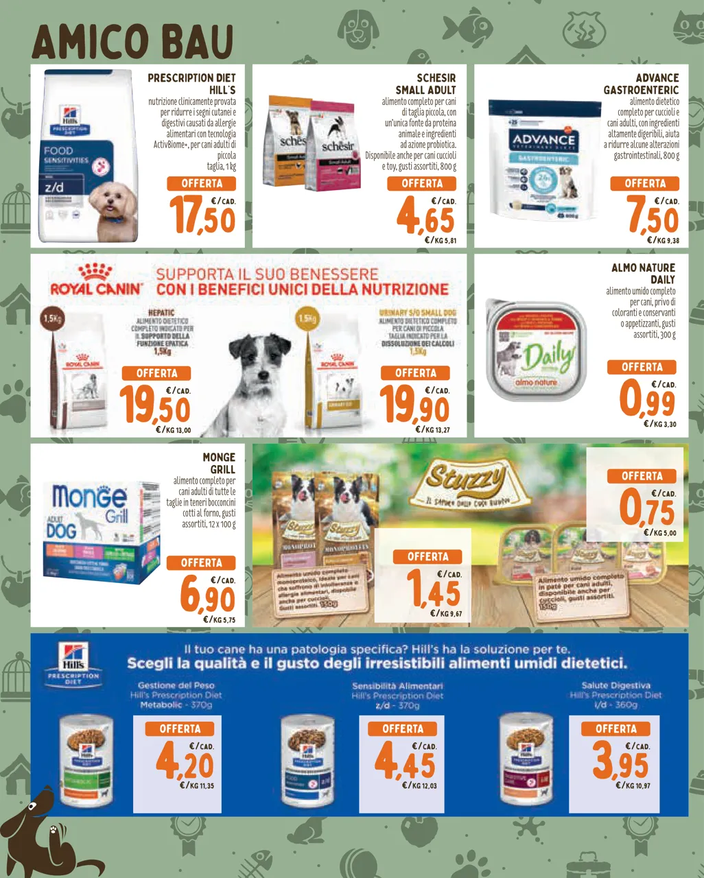 Pagina 6