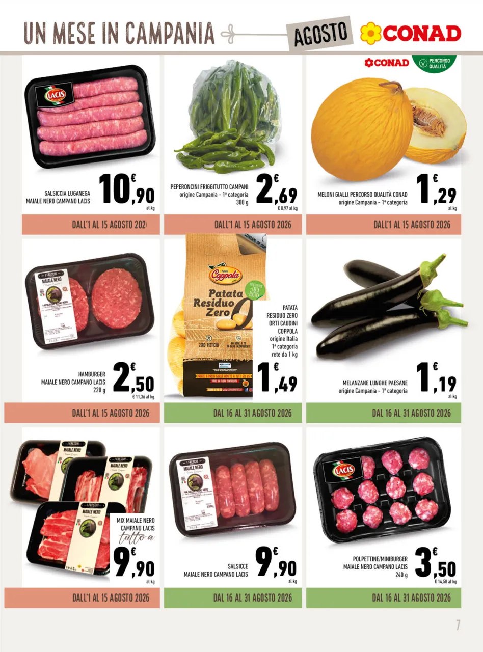 Pagina 7