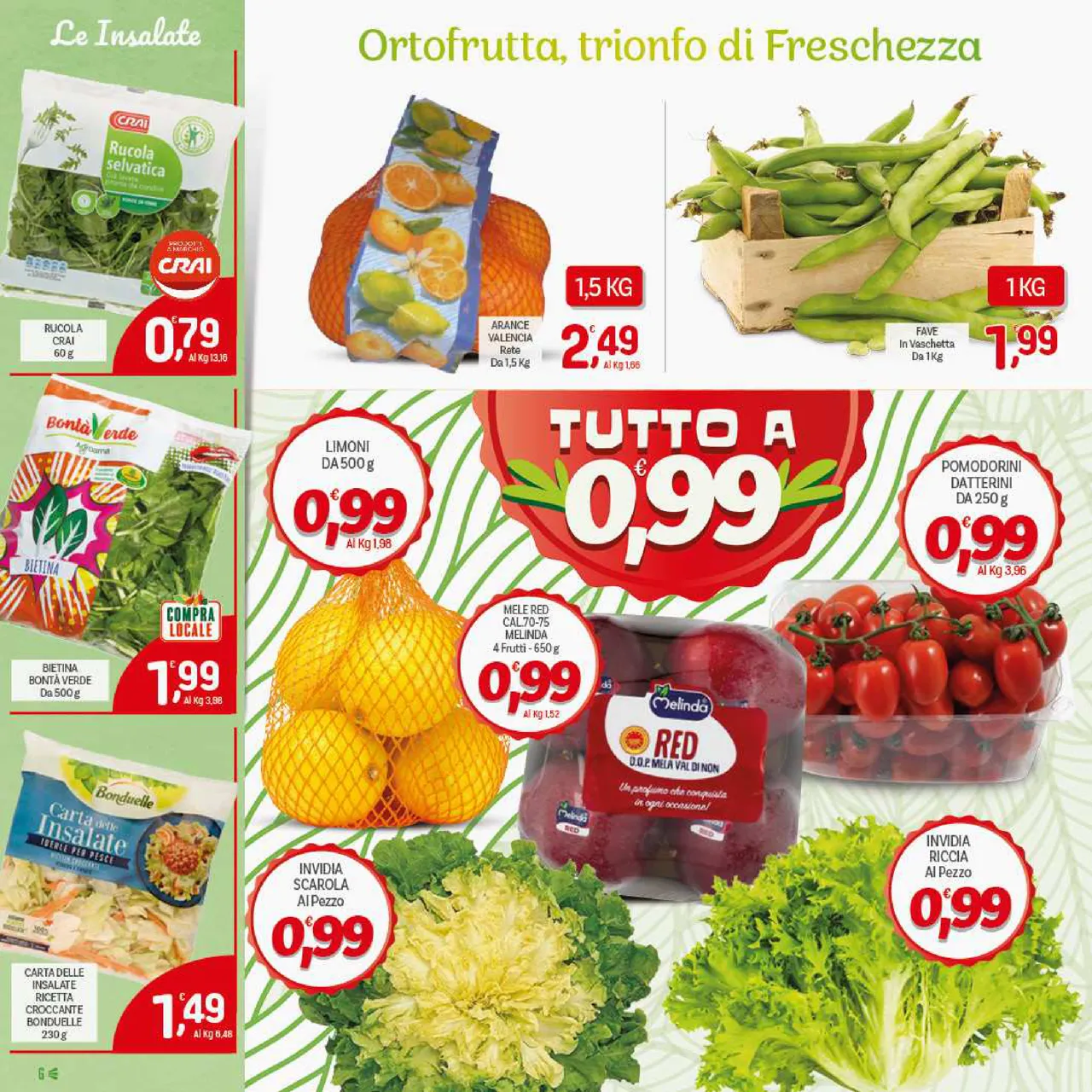 Pagina 6
