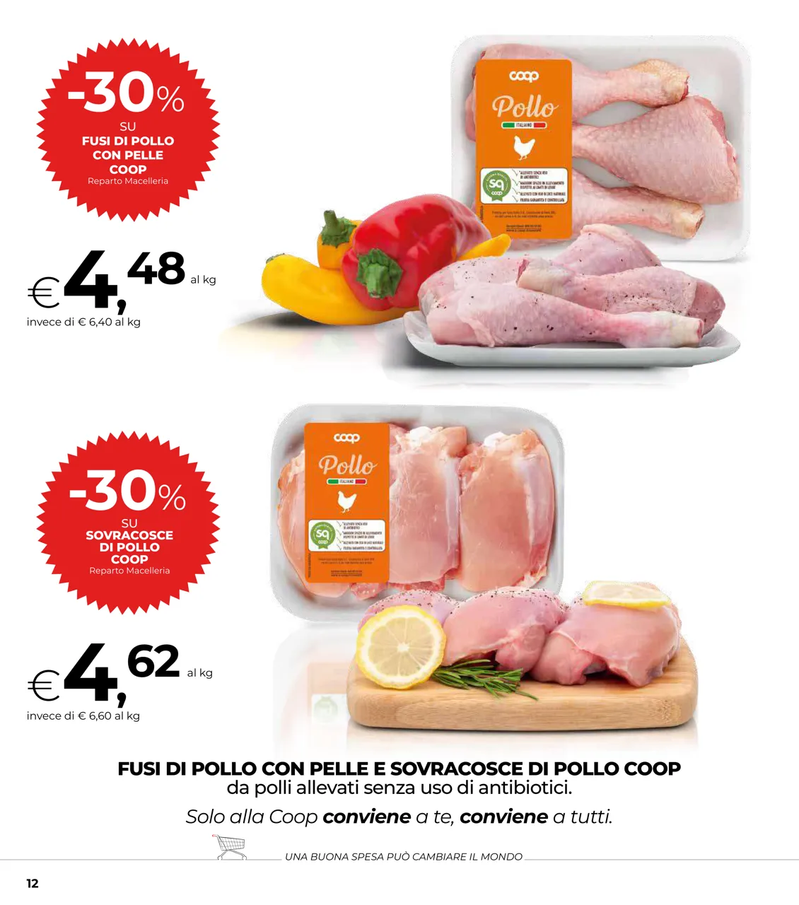 Pagina 12