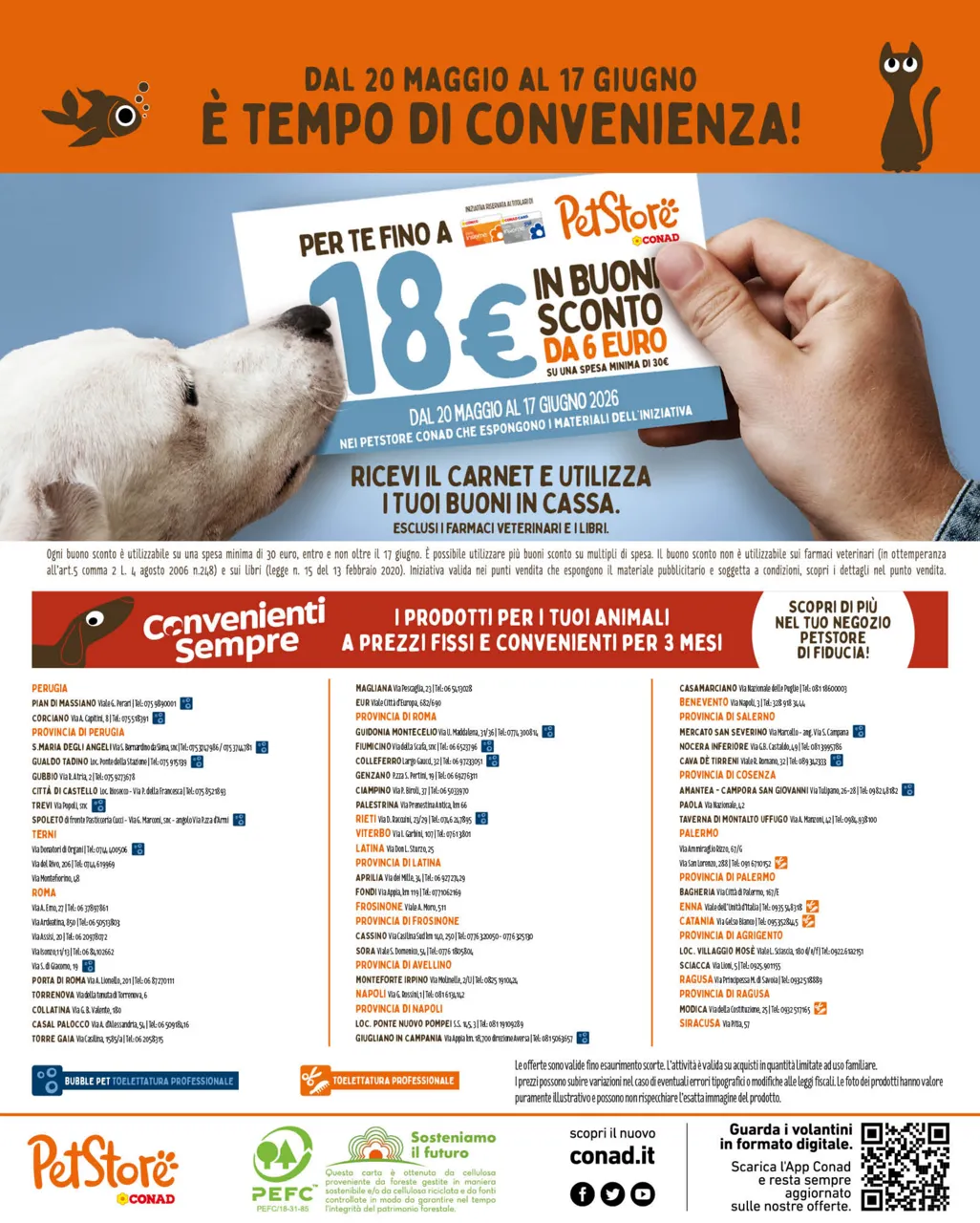 Pagina 8