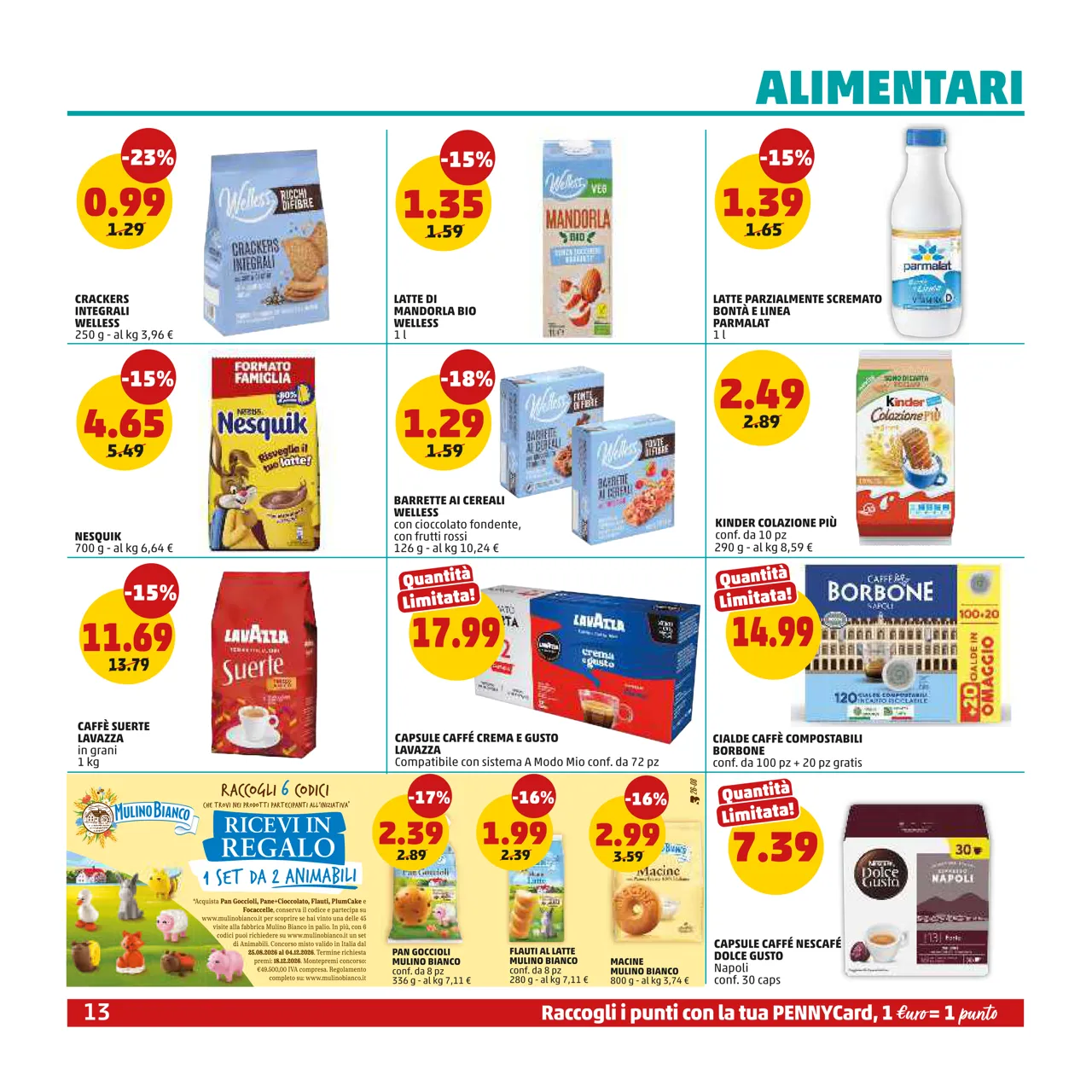 Pagina 13
