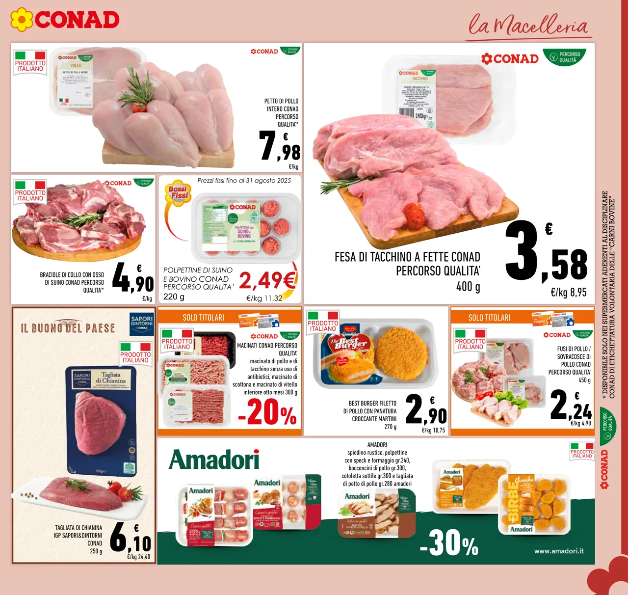 Pagina 11