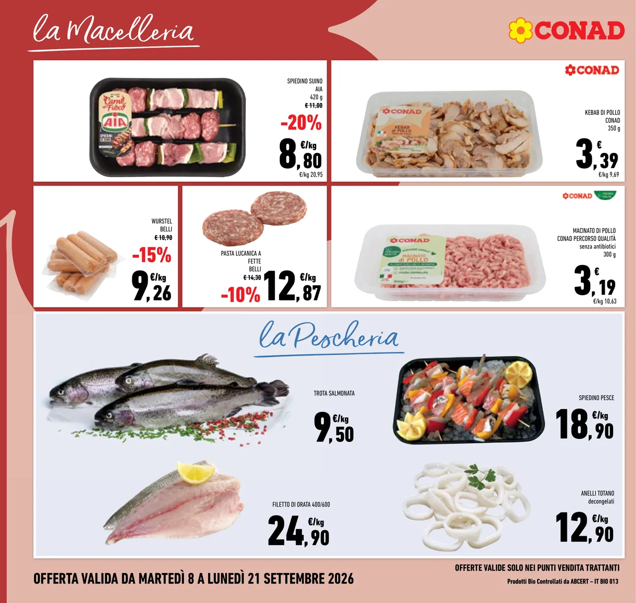 Pagina 6