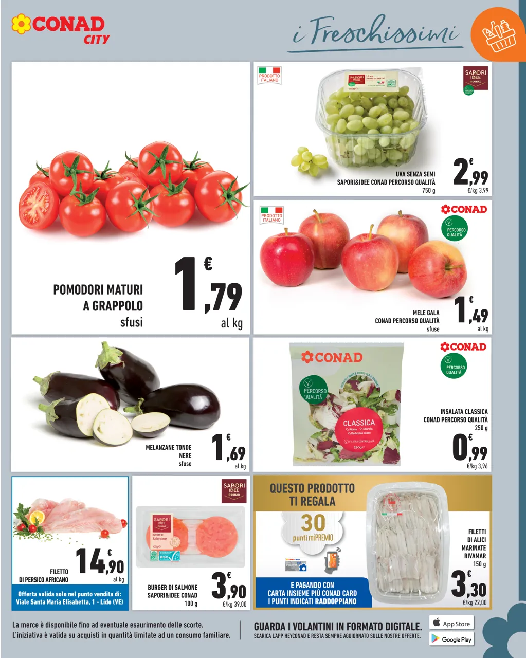 Pagina 7