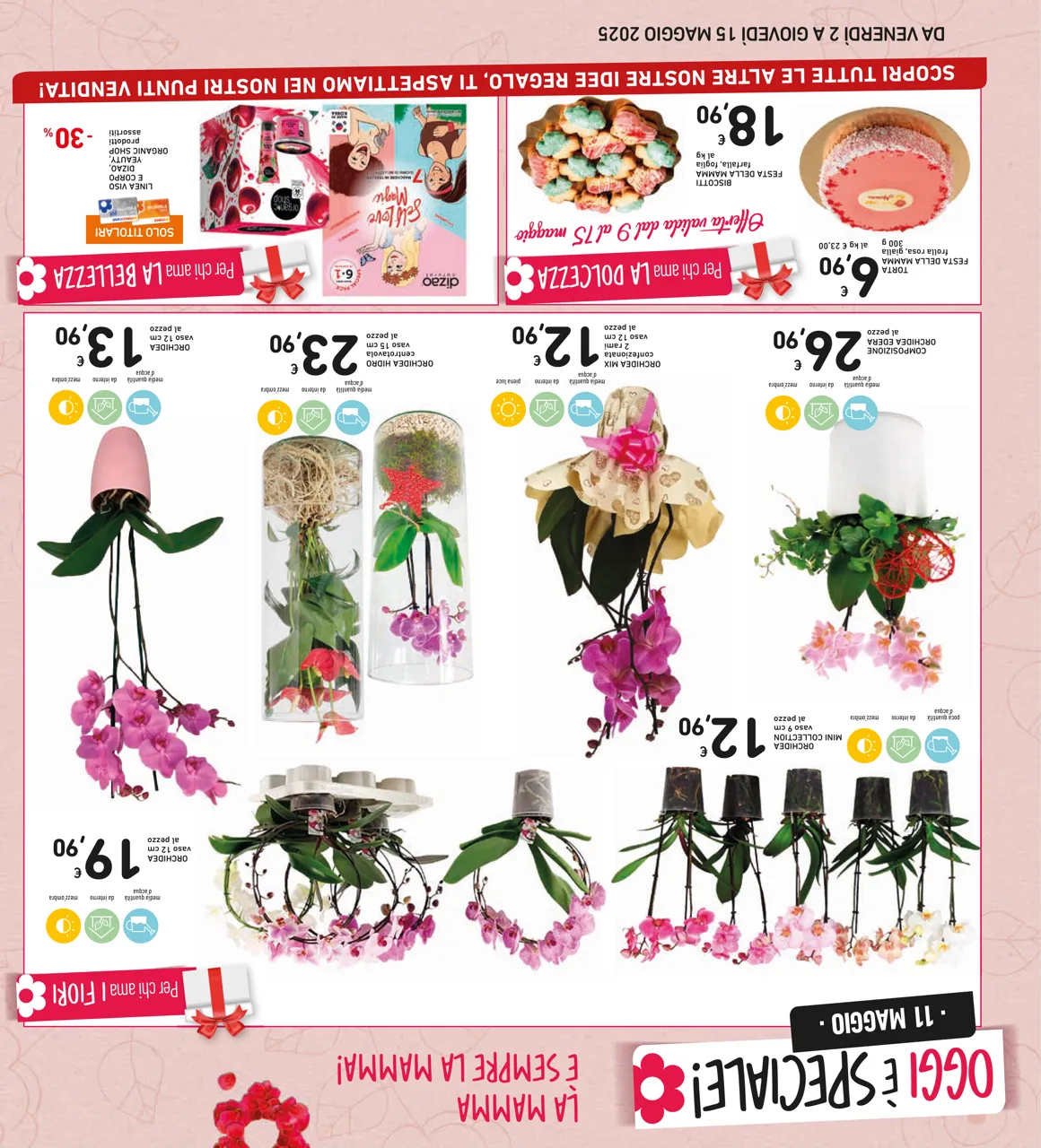 Pagina 2