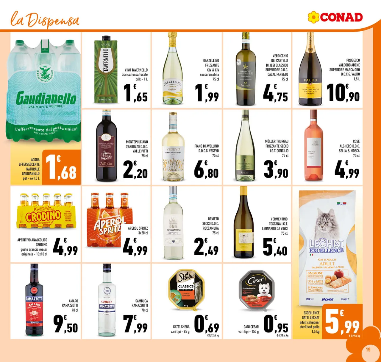 Pagina 19