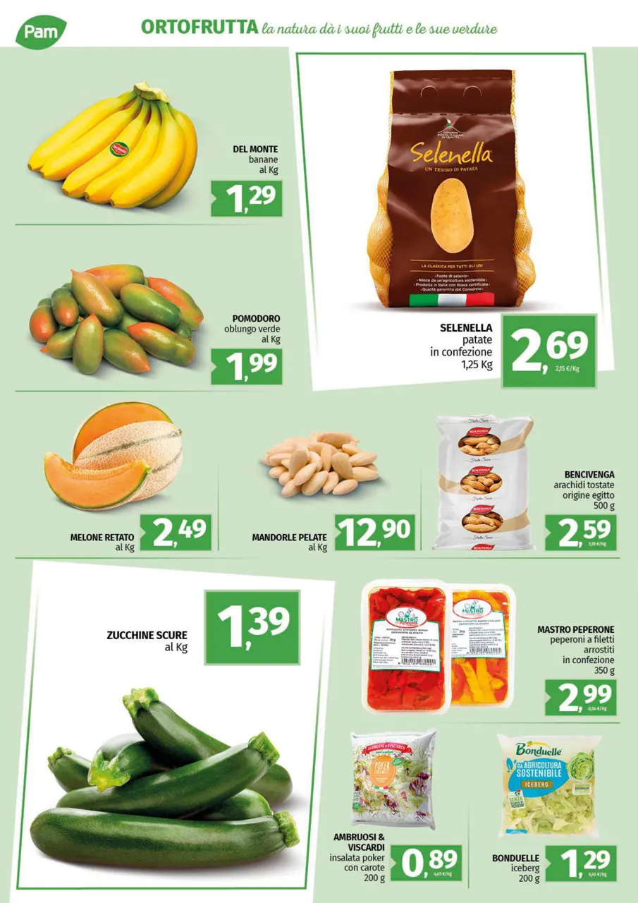 Pagina 12