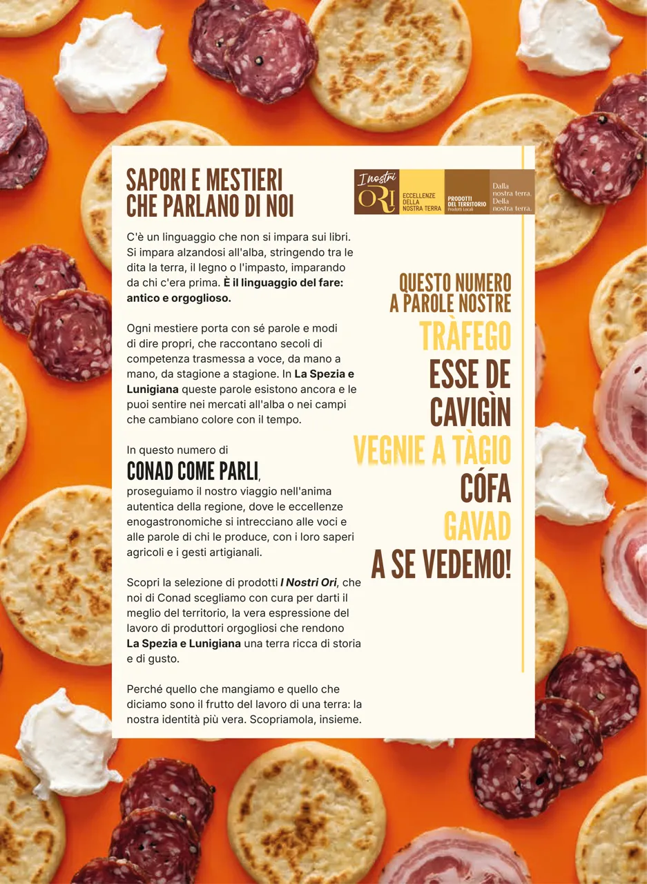Pagina 2
