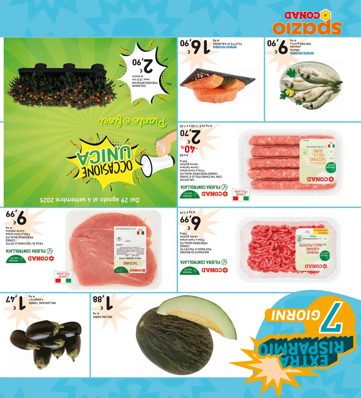 Pagina 32