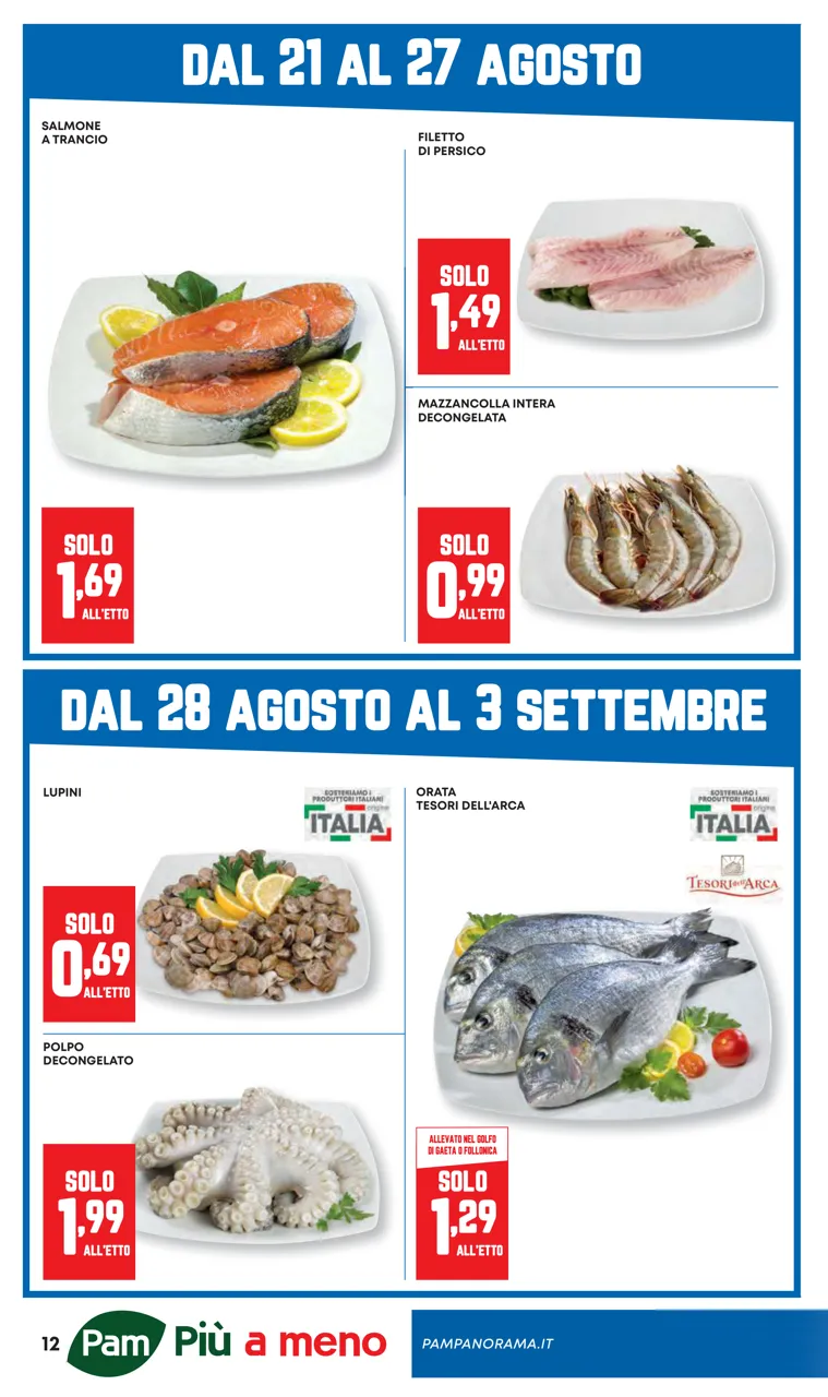 Pagina 12