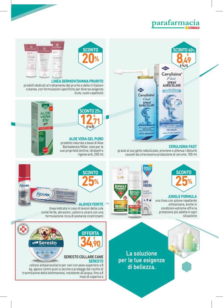 Pagina 7