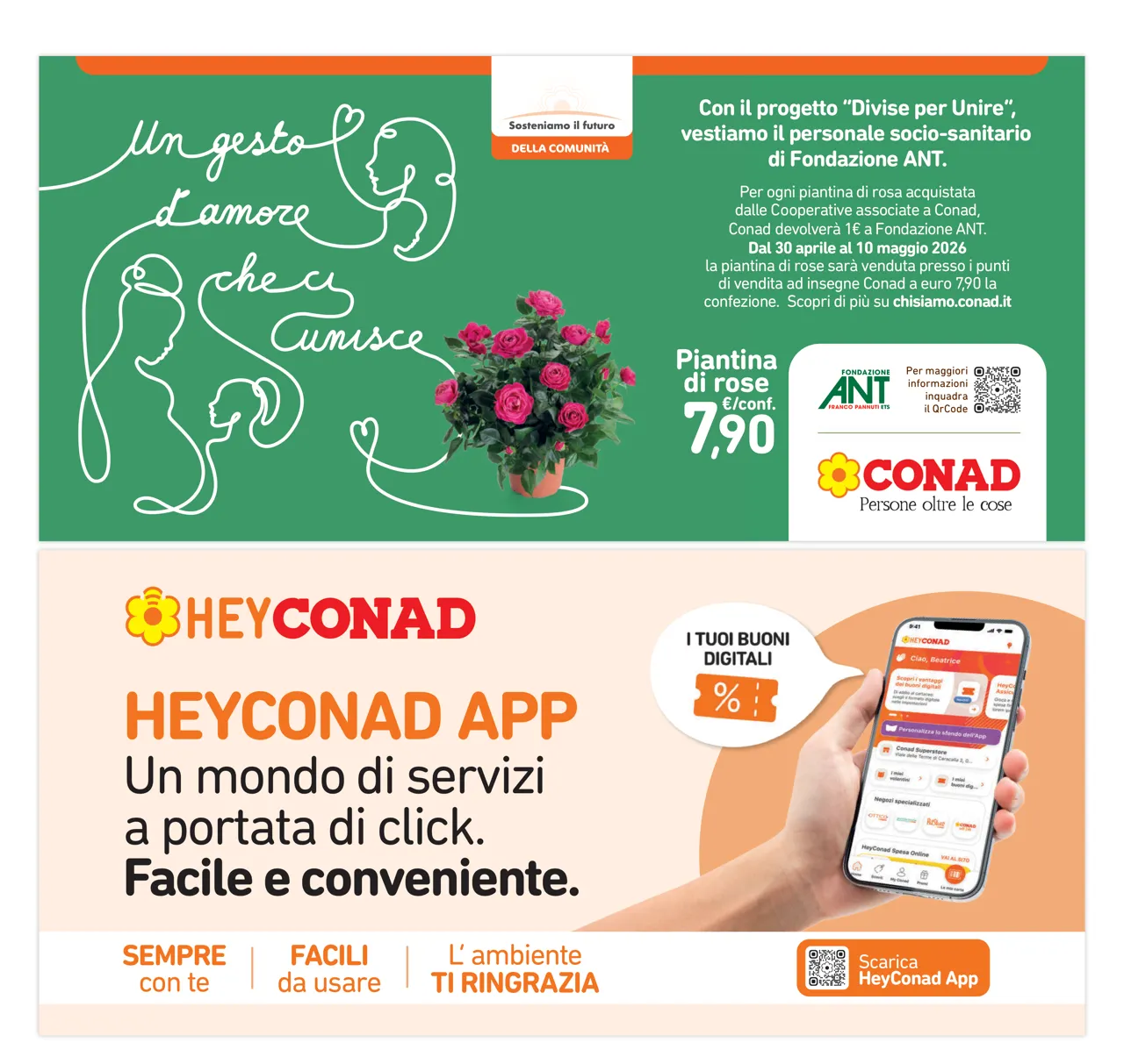 Pagina 8