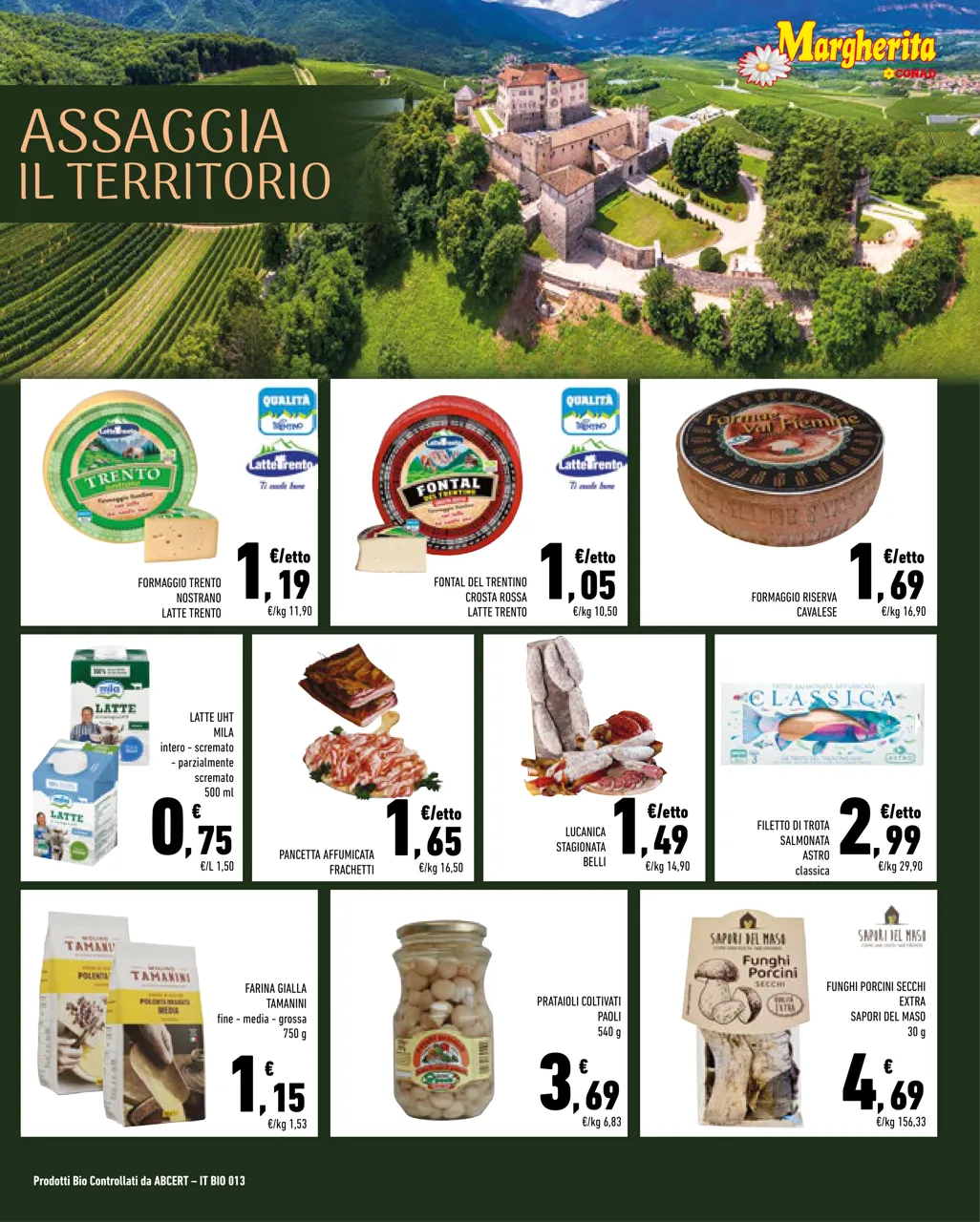 Pagina 5