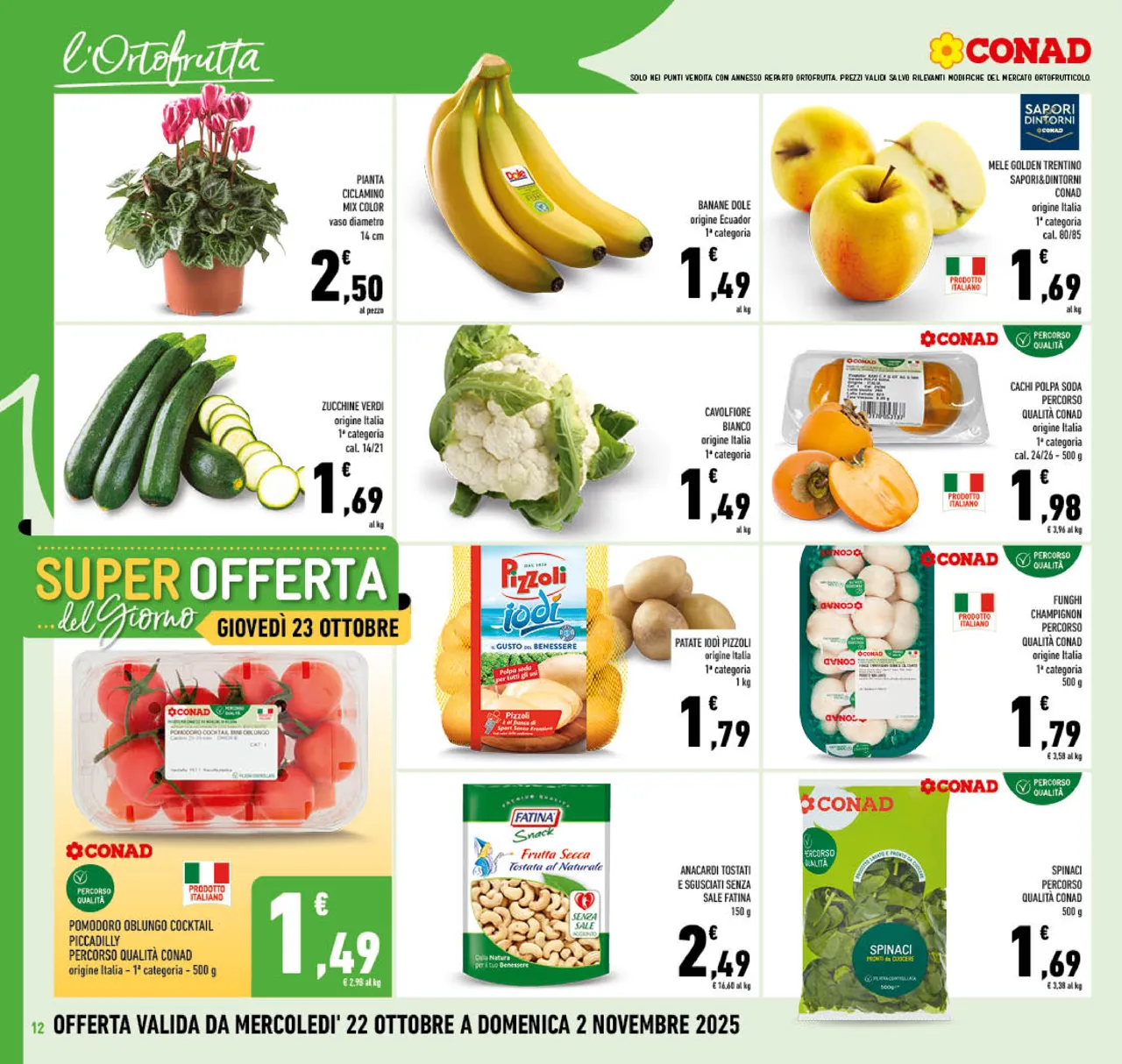 Pagina 12