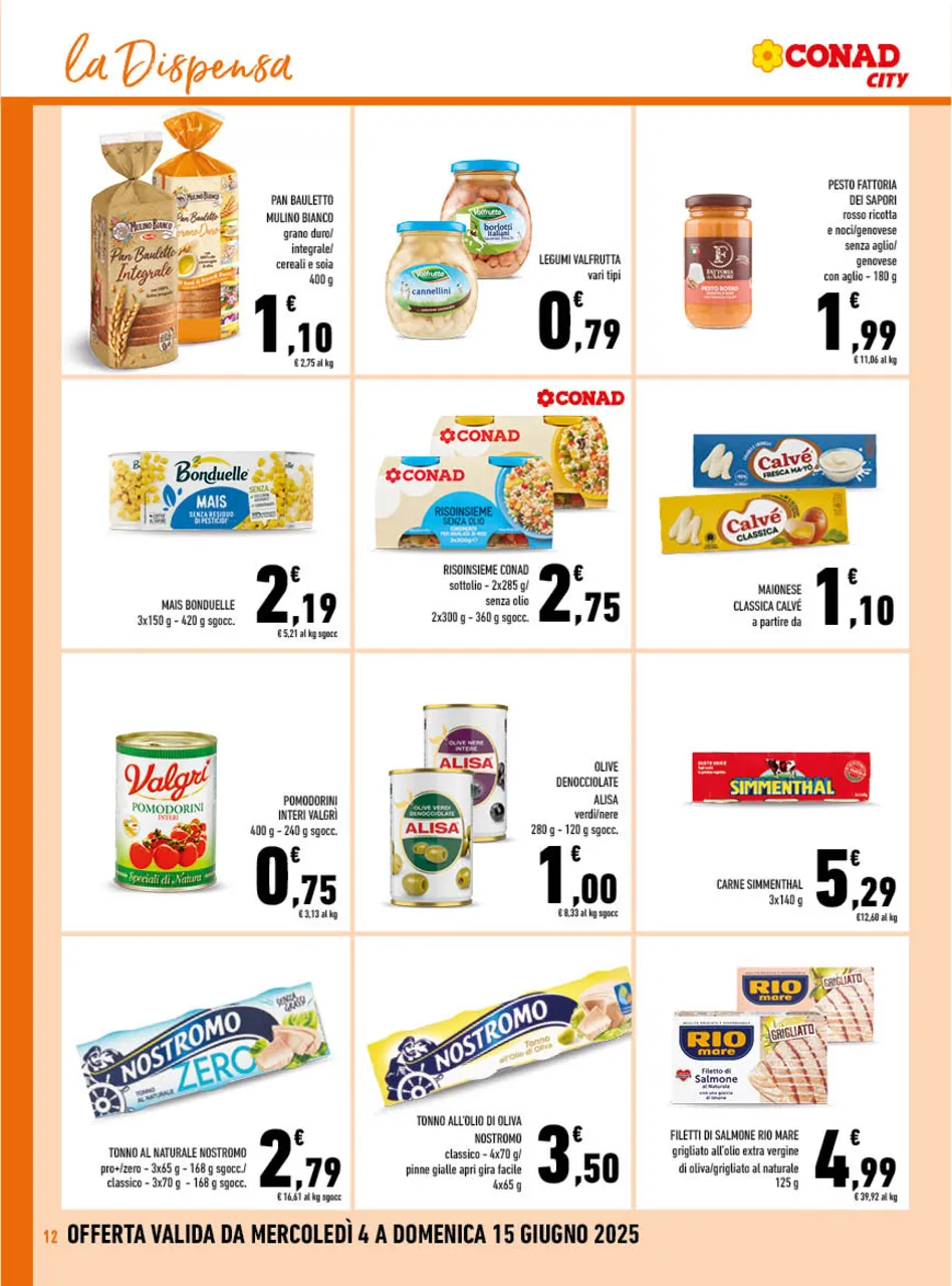 Pagina 12