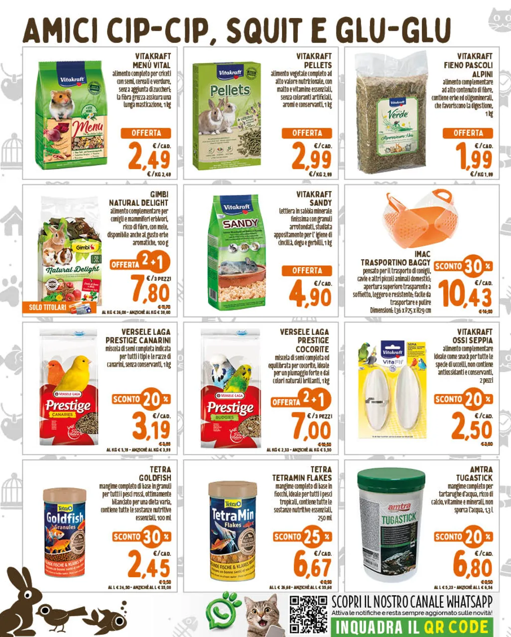 Pagina 6
