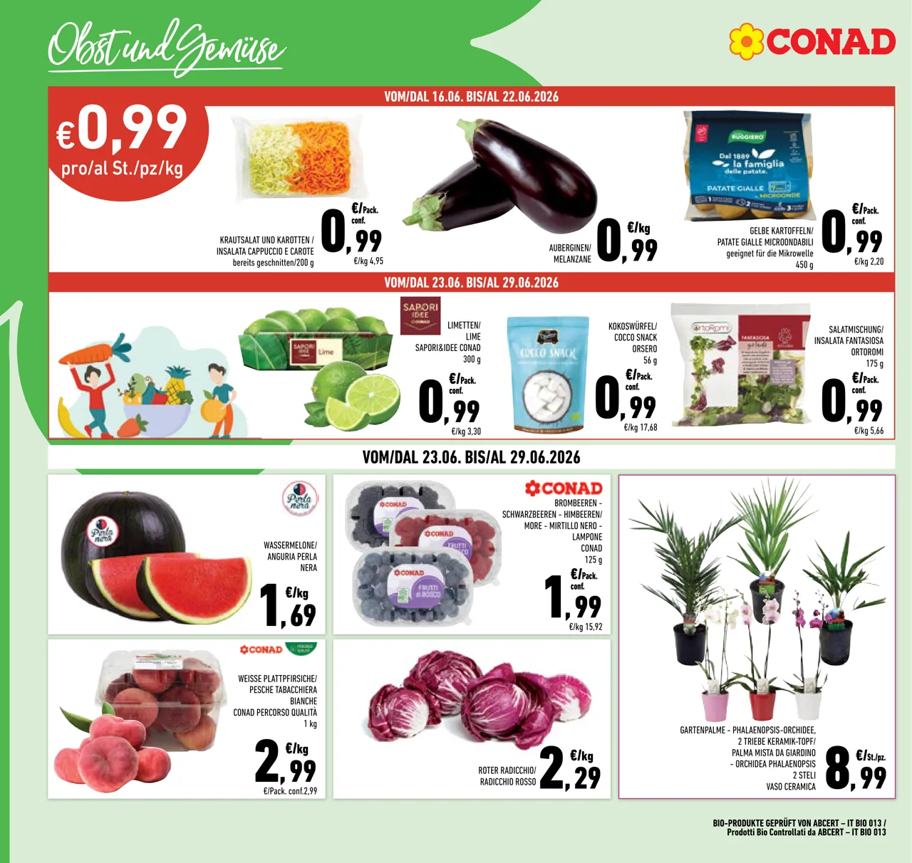 Pagina 4