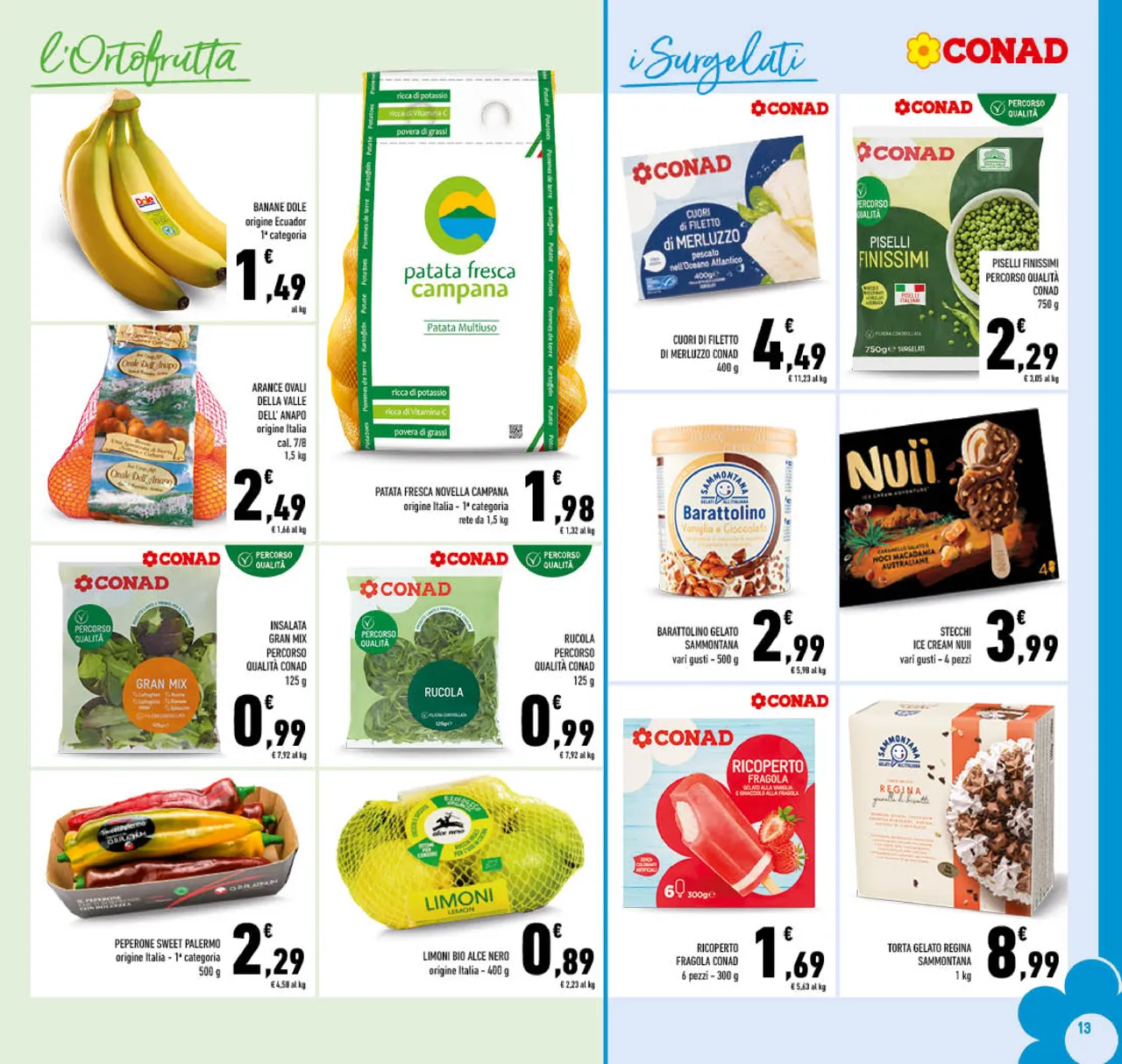 Pagina 13