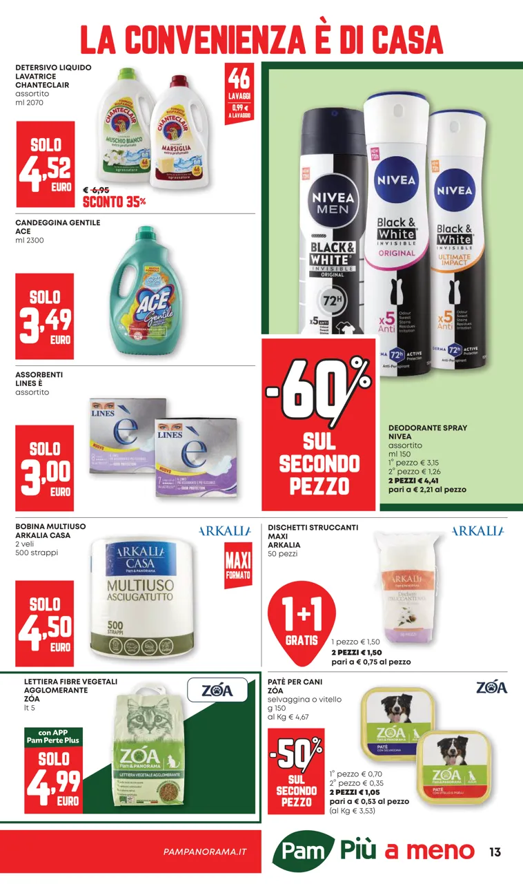 Pagina 13