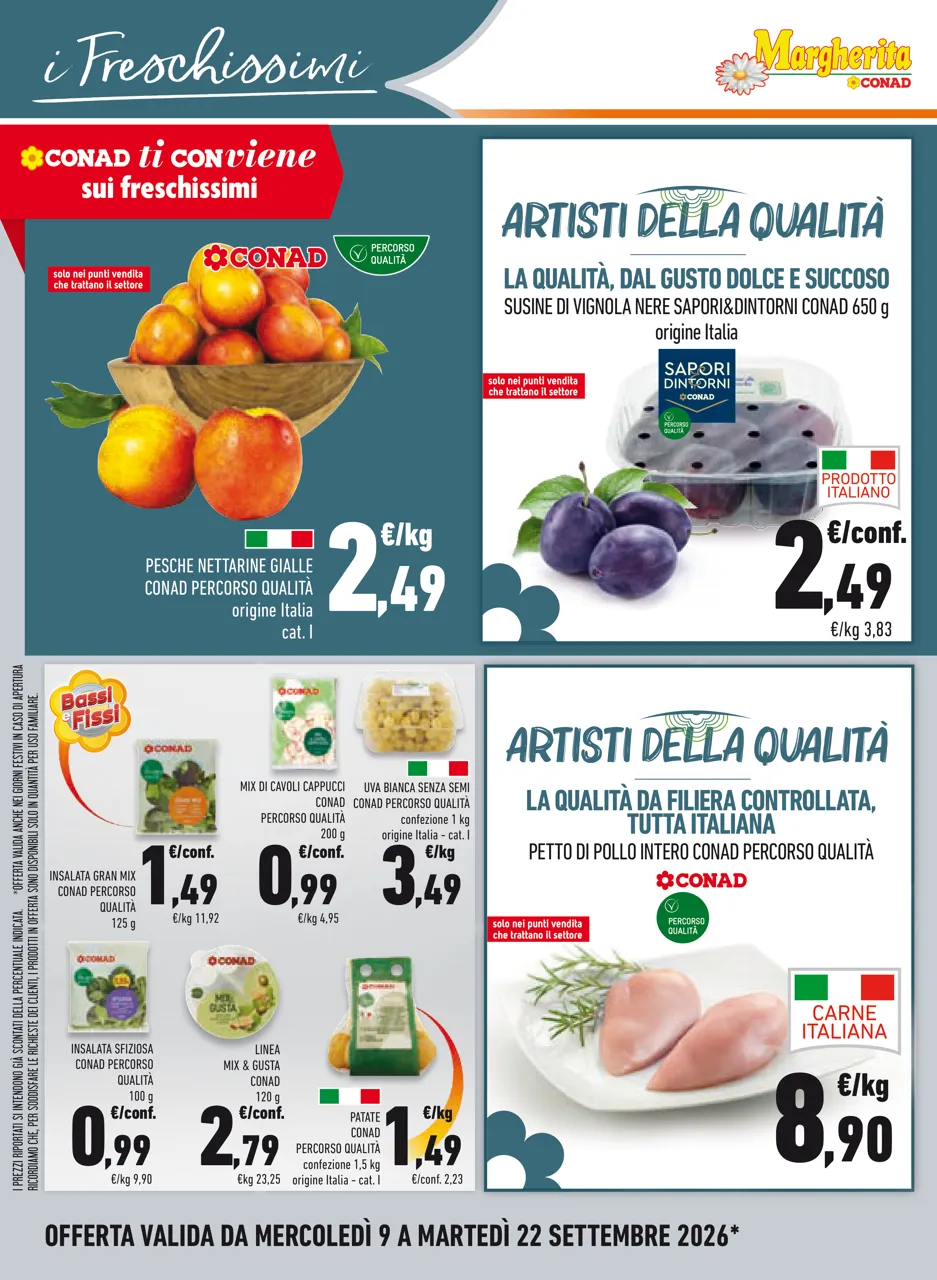 Pagina 14