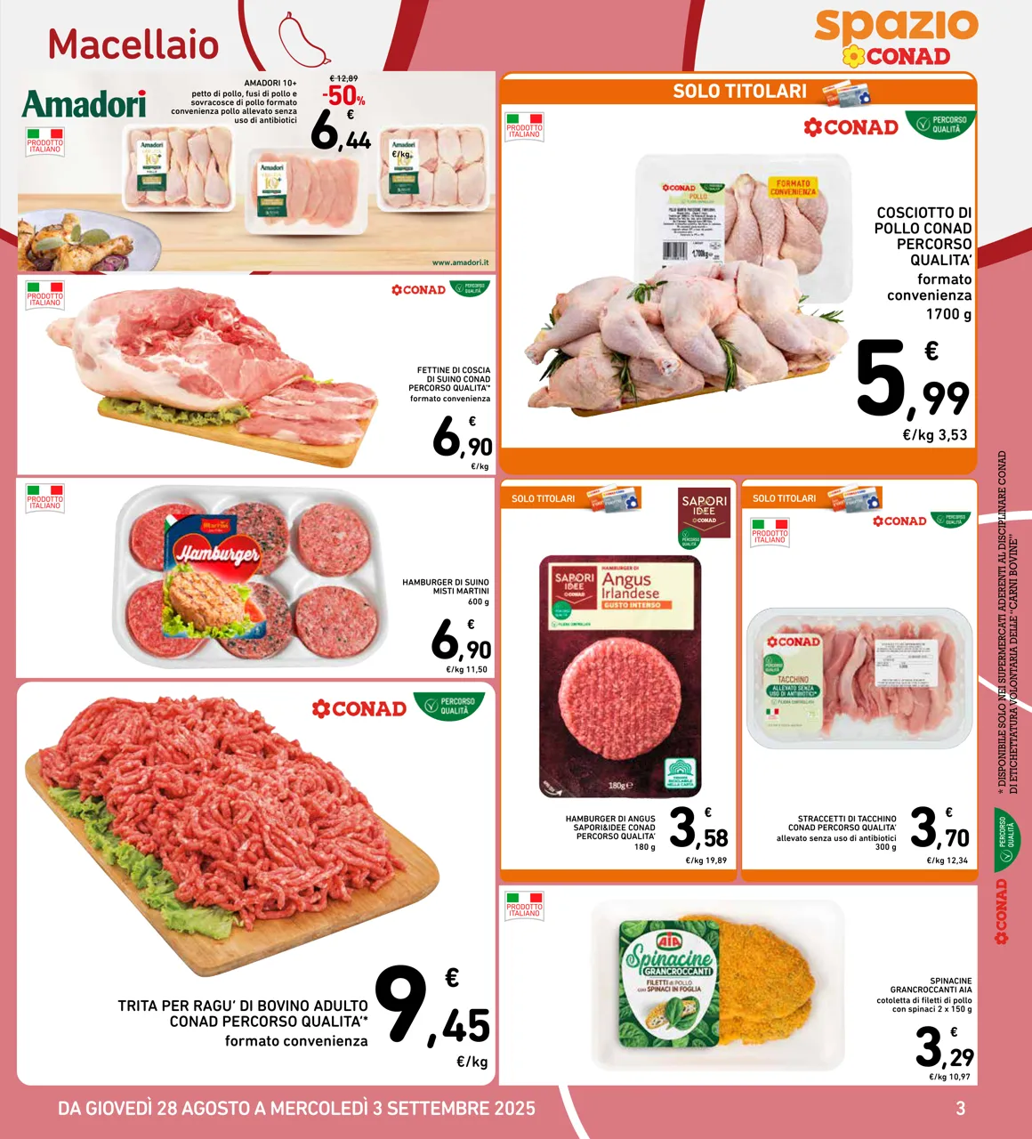 Pagina 3