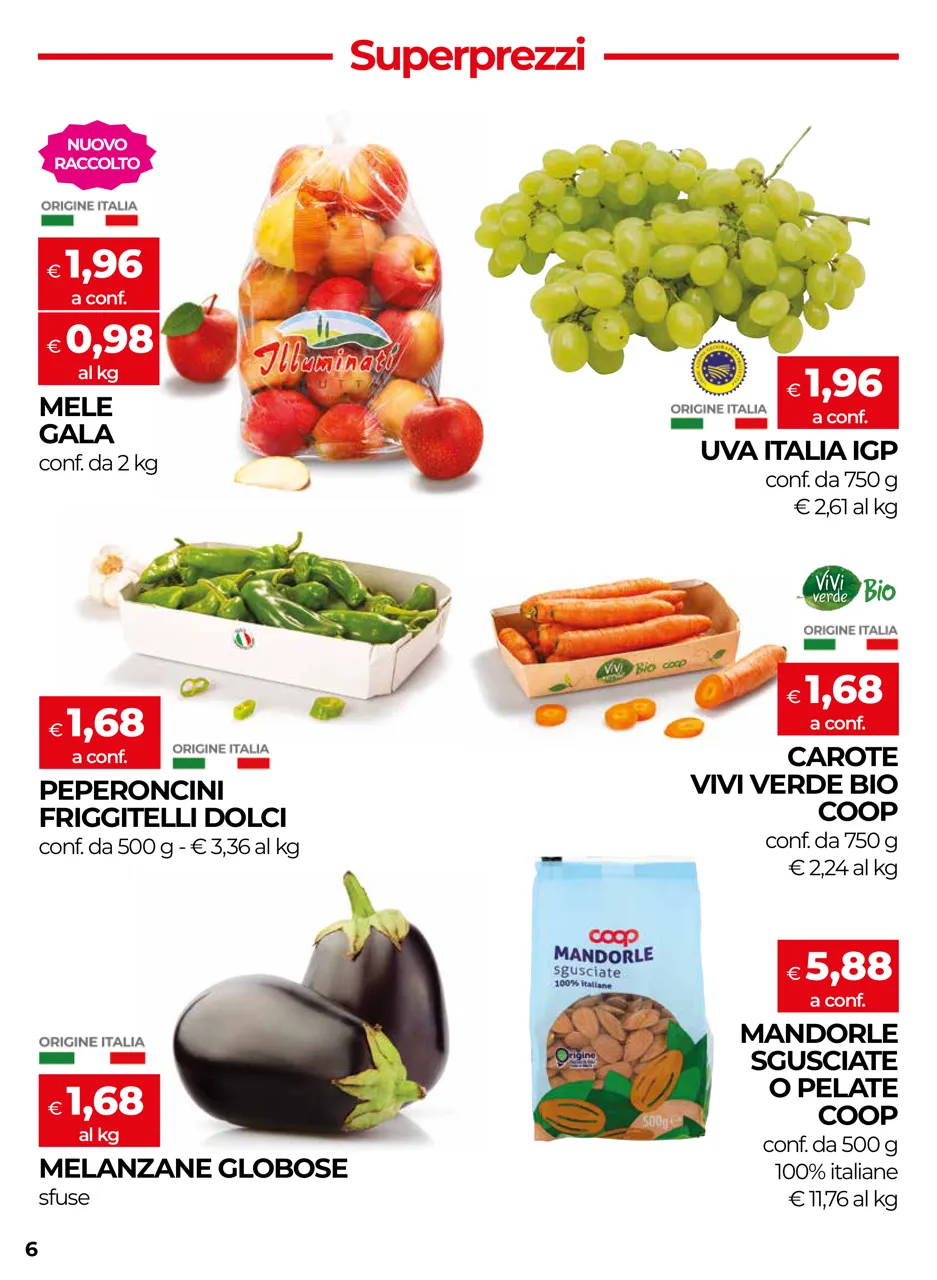 Pagina 6