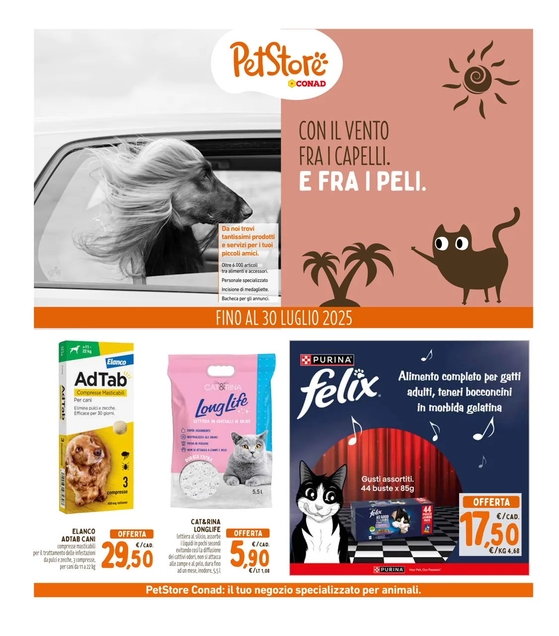Pagina 32