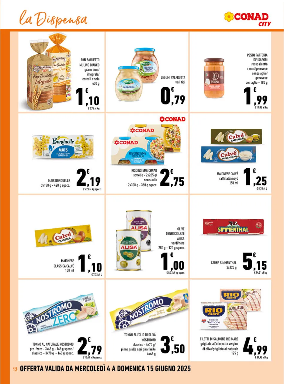 Pagina 12