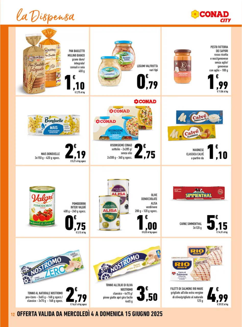 Pagina 12