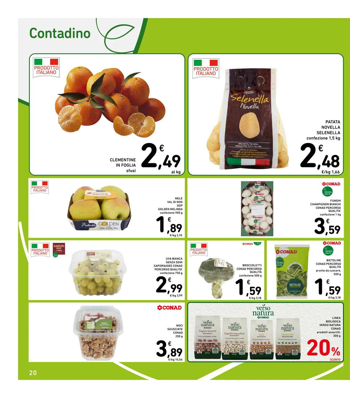 Pagina 20