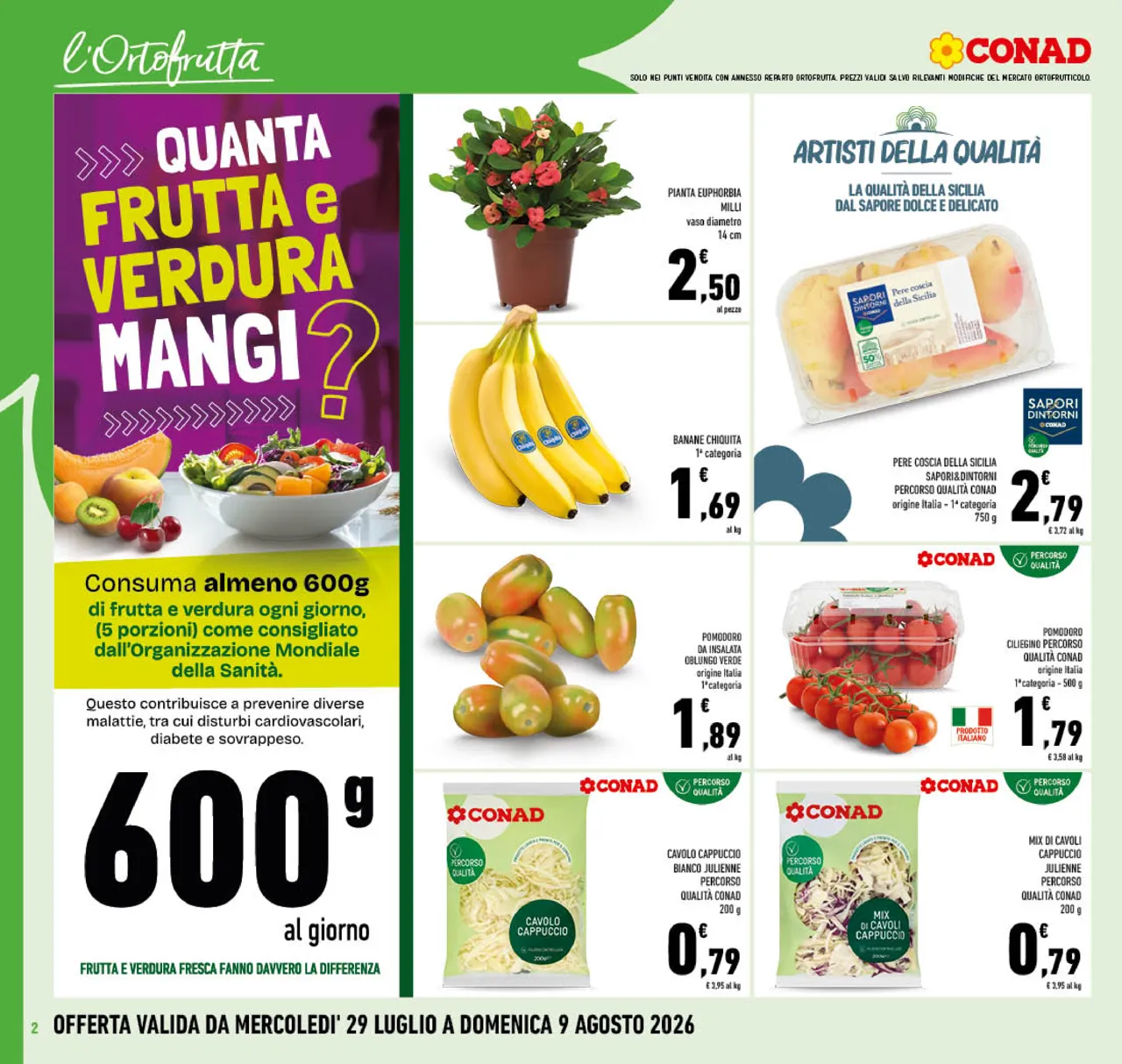 Pagina 2