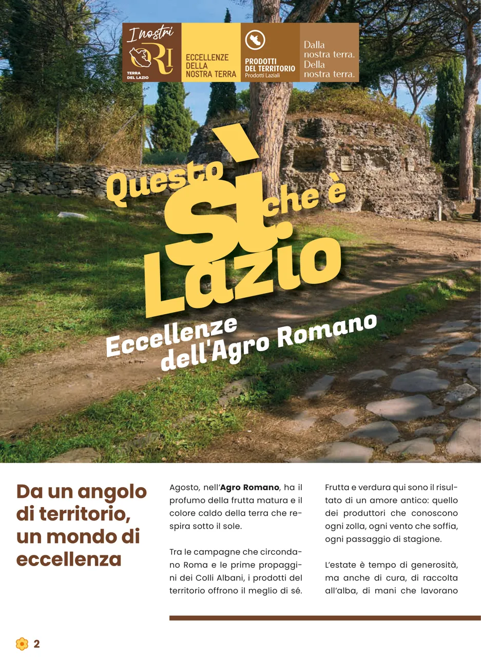 Pagina 2