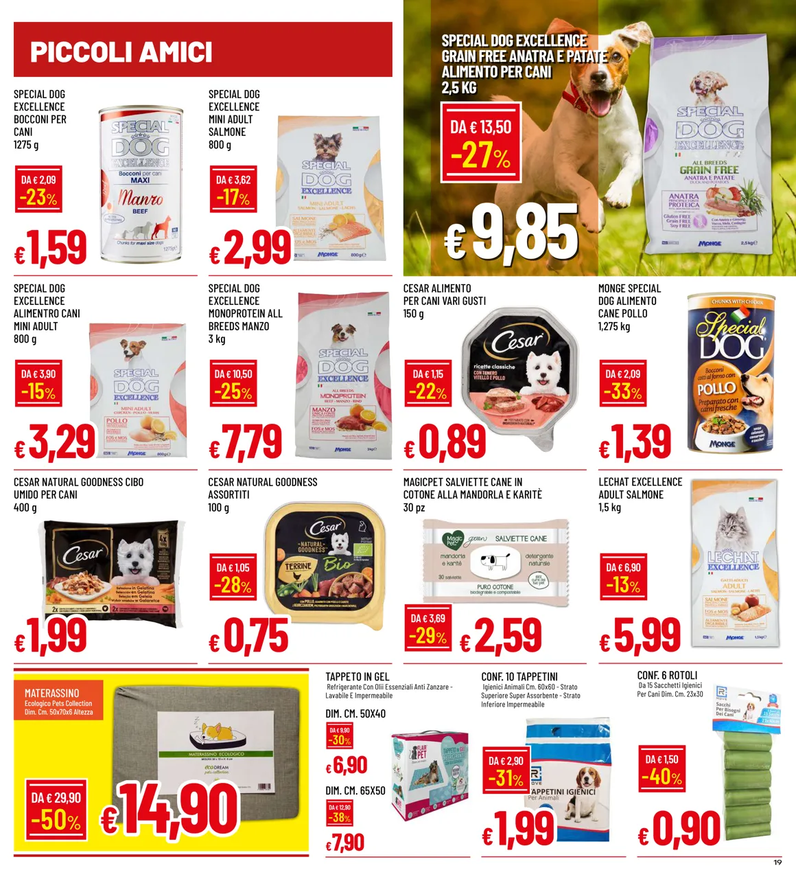 Pagina 19