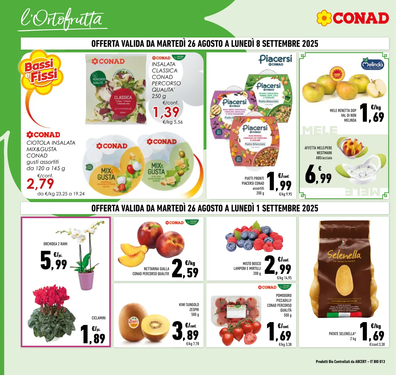 Pagina 2