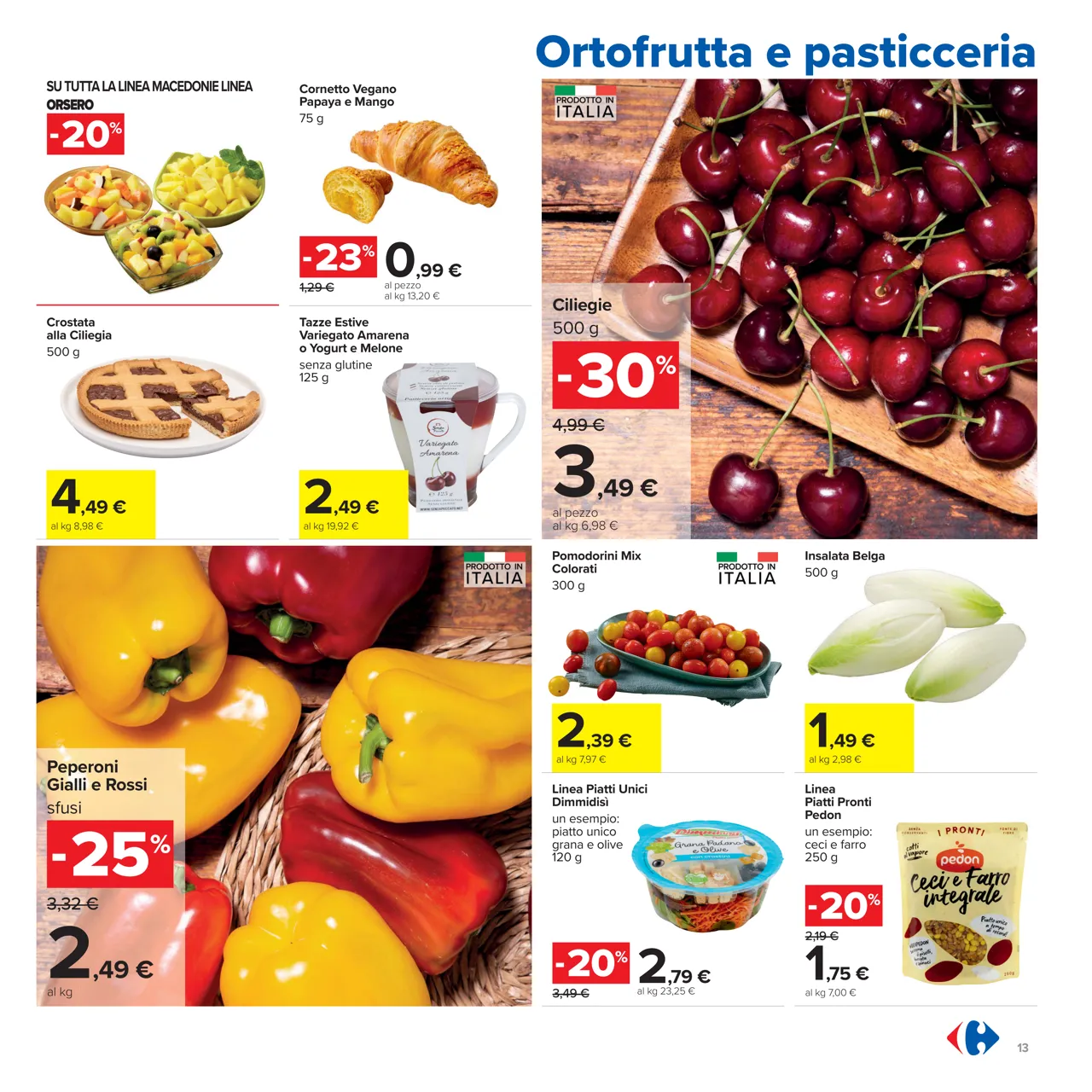 Pagina 13