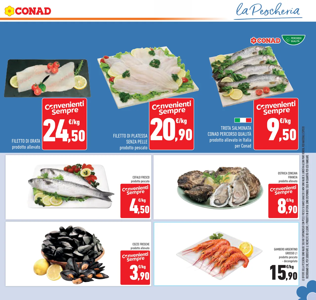 Pagina 11