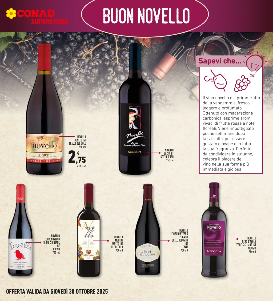 Pagina 19