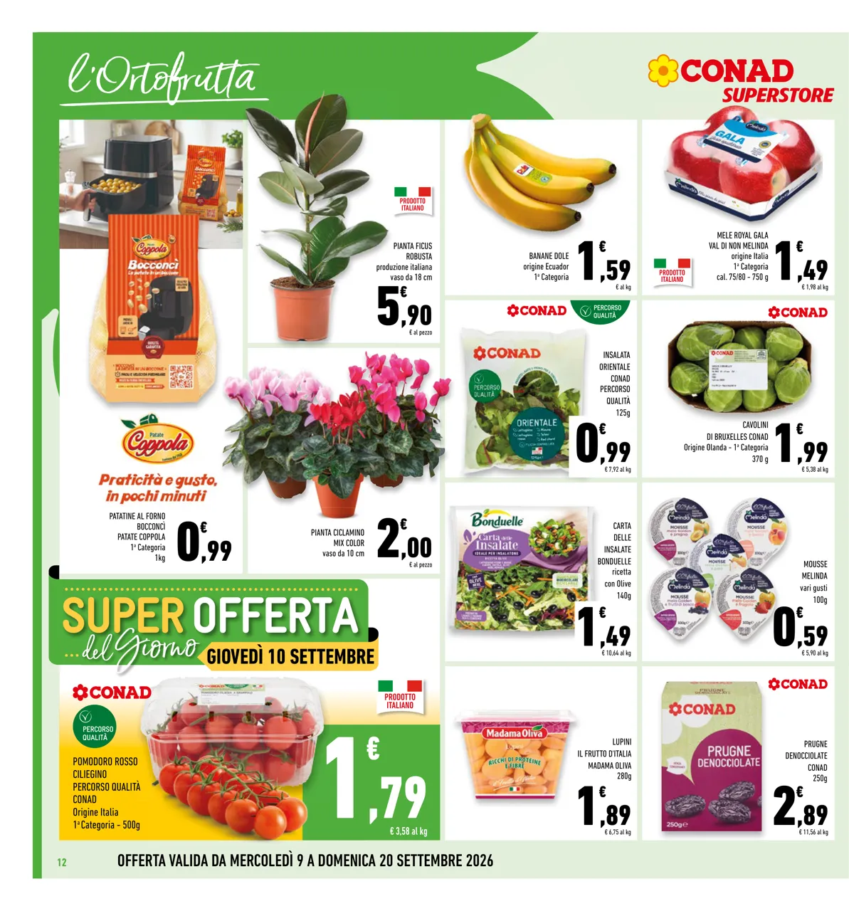Pagina 12