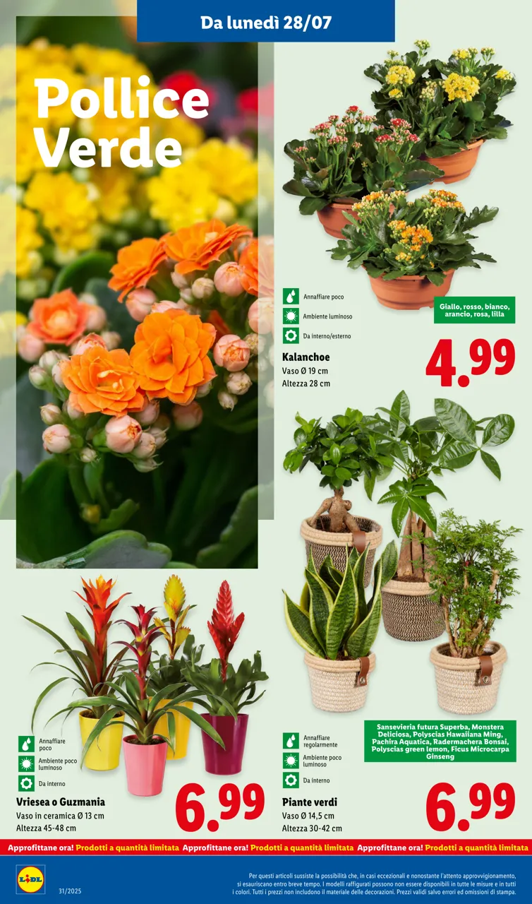 Pagina 32