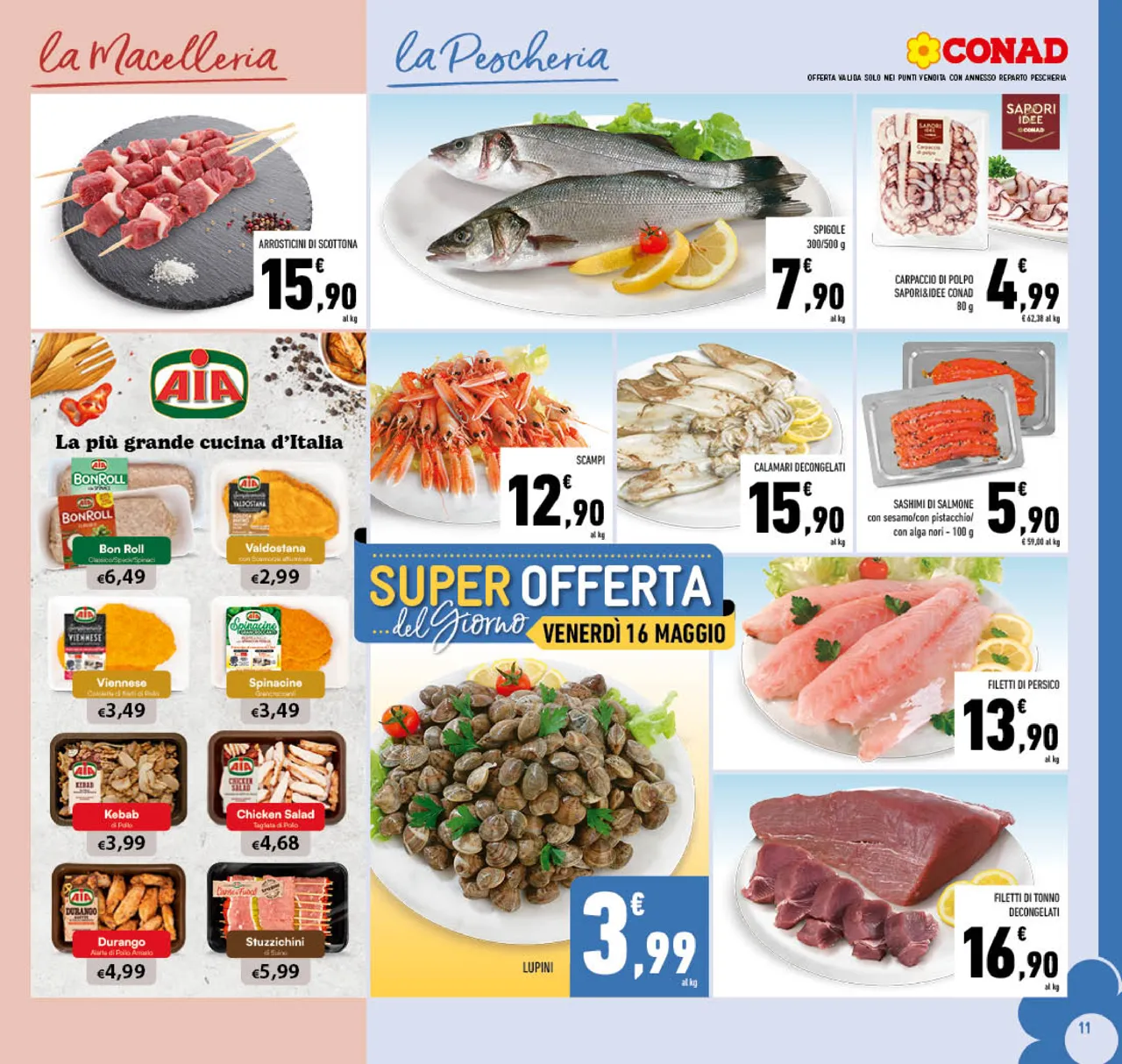 Pagina 11