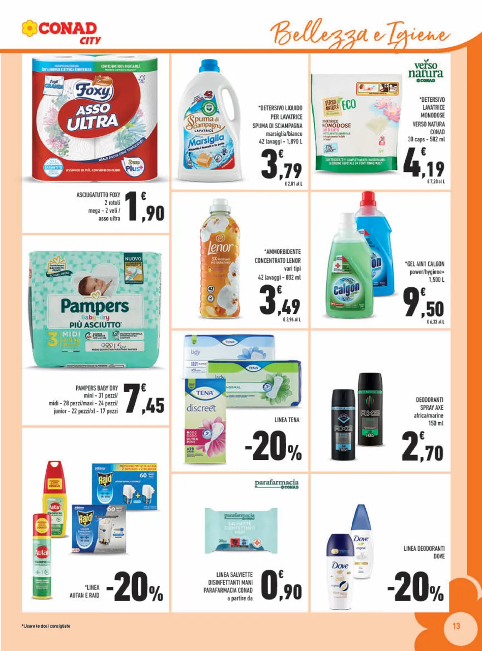 Pagina 13