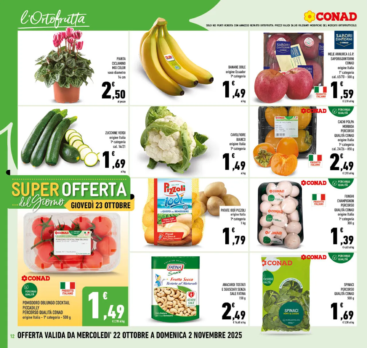 Pagina 12