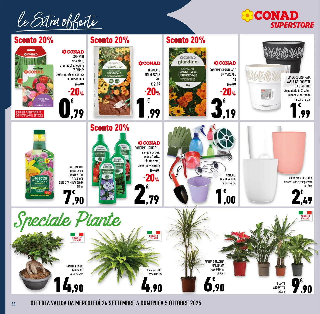 Pagina 36