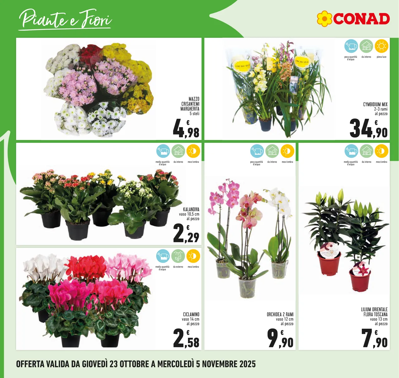 Pagina 26