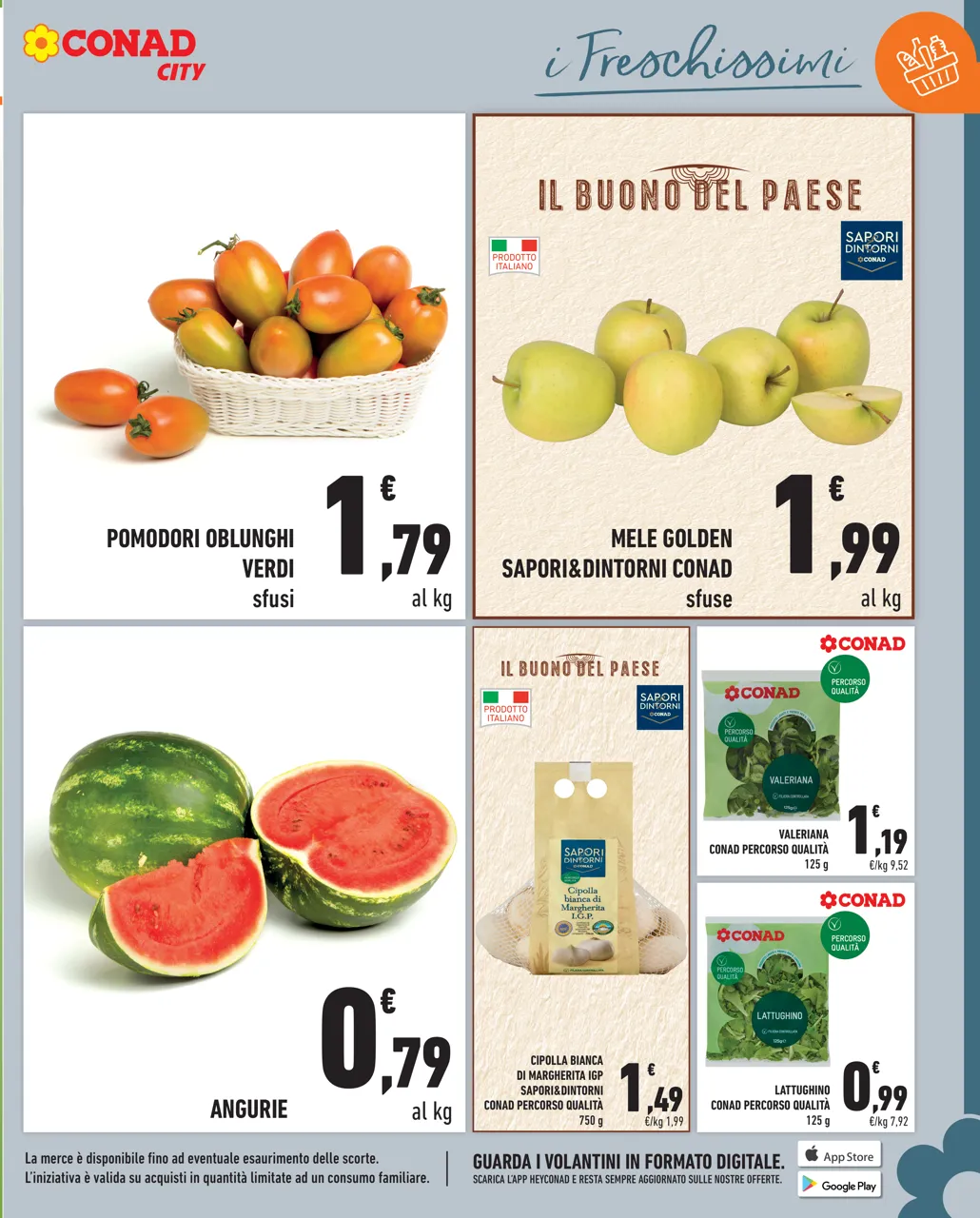 Pagina 5