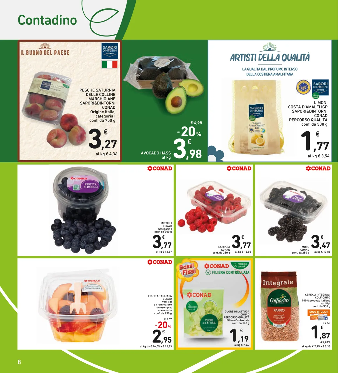 Pagina 8