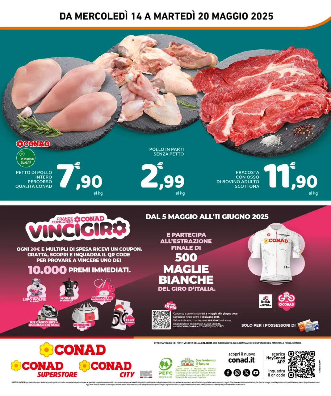 Pagina 8